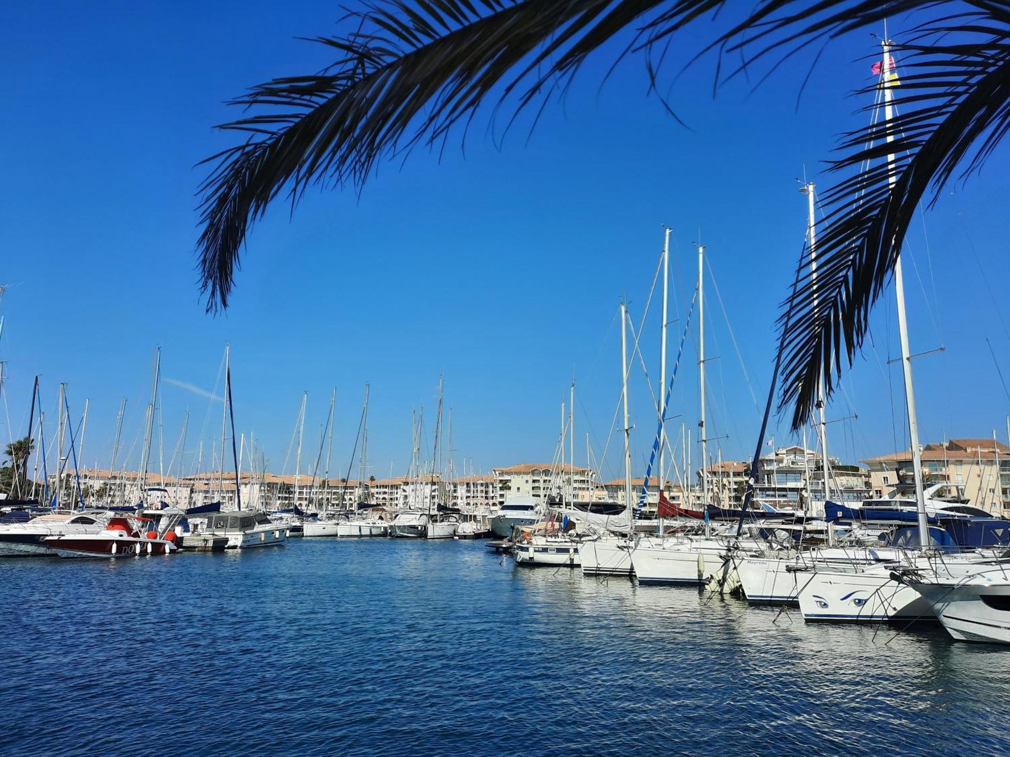 Coeur Marina Climatise Terrasse Parking Lägenhet Fréjus Exteriör bild